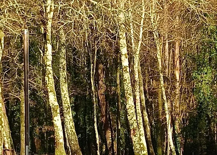 4 Soles Lejlighed Ponte Caldelas